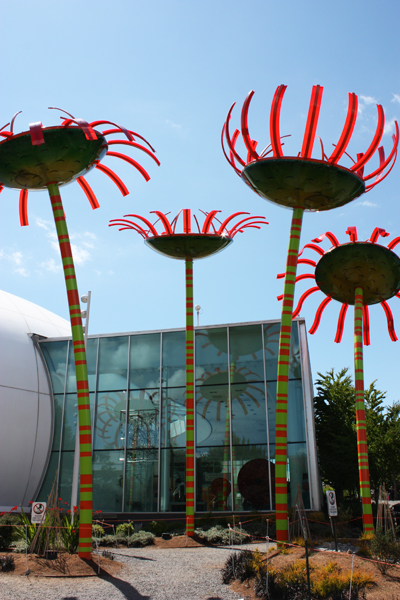 art at the Seattle Center